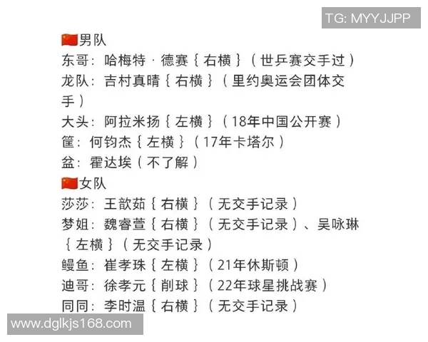 上海乒乓球队中路突破解析：战术创新与未来发展展望