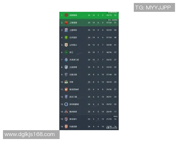 武汉篮球队在联合会杯积分榜上以62分稳居第一名展现强劲实力